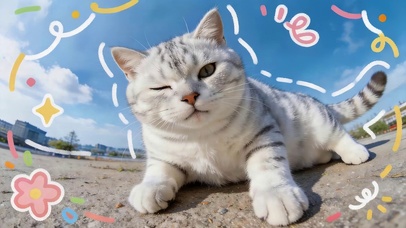 可爱银渐层猫咪