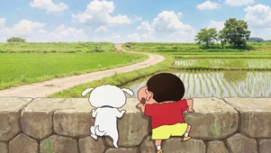 稻田远望