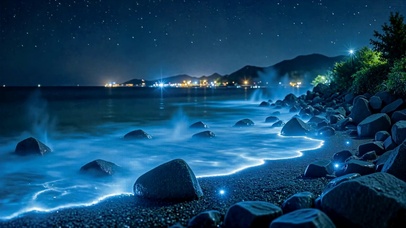 梦幻荧光海岸星空夜景