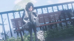 逗猫