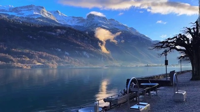 和你一起无需理由