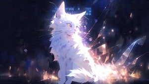 星光散落