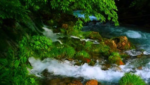 湍急溪流
