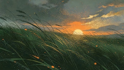 夕阳花草树木