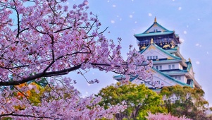 繁花落地成双