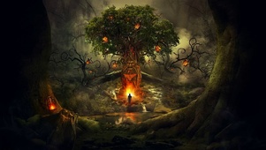 古树幻想