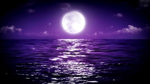浪漫夜晚海洋