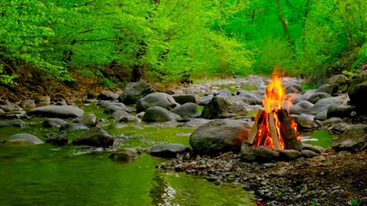 4K森林河边篝火
