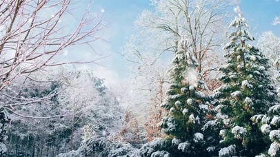 唯美初雪自然风景氛围高质量背景