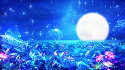中秋荷花月亮蝴蝶星空
