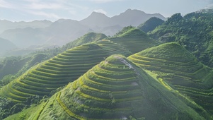 雾中群山