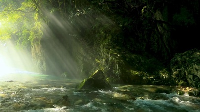 4k轻烟缭绕溪流