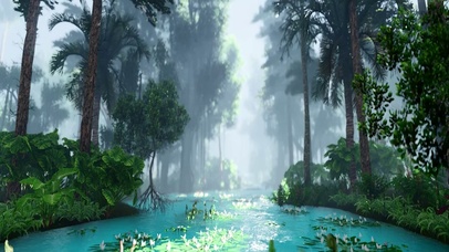 早晨唯美仙境森林之河1