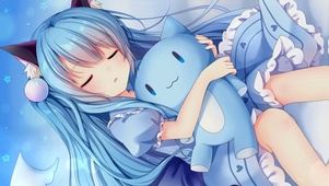 猫猫睡着了嗷