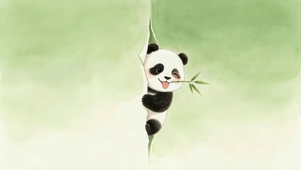 吐舌头偷看的熊猫崽