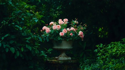 花