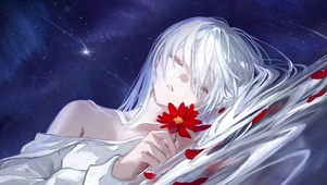 Behre落花