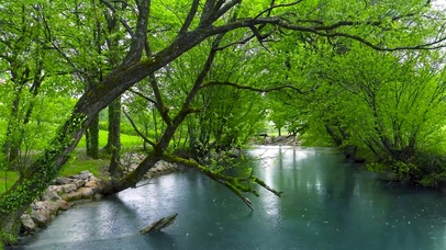 雨天绿林河流