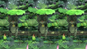 雨后彩虹