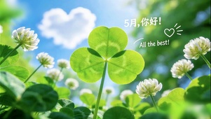 5月清新护眼壁纸