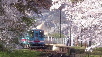 在最美的年纪遇见你