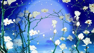 蓝色舞台茉莉花
