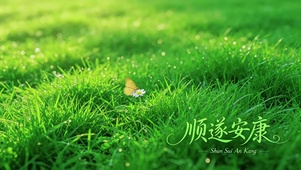 护眼草地，花与蝴蝶