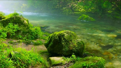 清澈清凉夏日流水