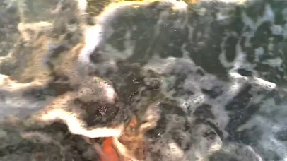 装瓶晚霞送给你