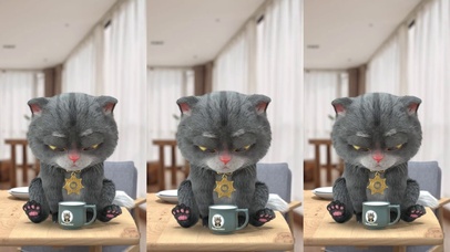 斑布猫-猫咪和杯子爱恨情仇