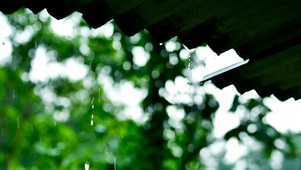 静心屋檐雨