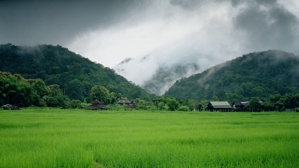 绿田野农舍与云雾山林的田园写实风景