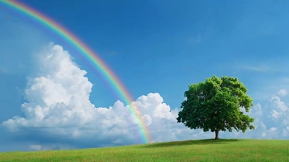 蓝天白云彩虹绿树