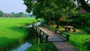 治愈风景壁纸