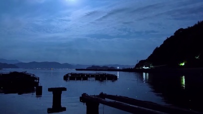 夜晚河边虫鸣