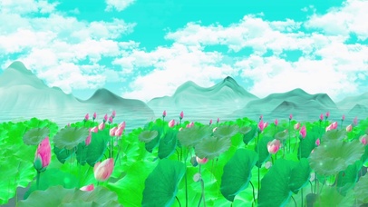 治愈护眼荷塘荷花