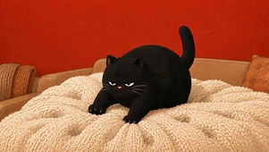 大肥猫踩奶