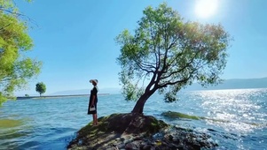 大理洱海