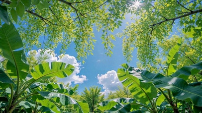 夏日晴空绿意林间