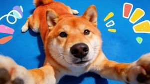 呆萌