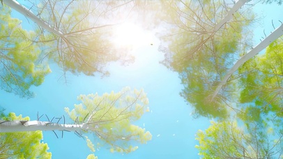 护眼参天大树宽屏