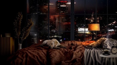 舒适的卧室环境雨