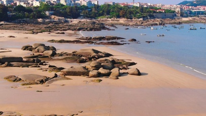 退潮后沙滩礁石