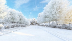 雪