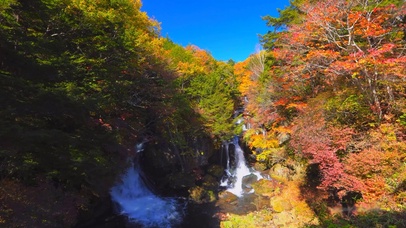 秋林山水