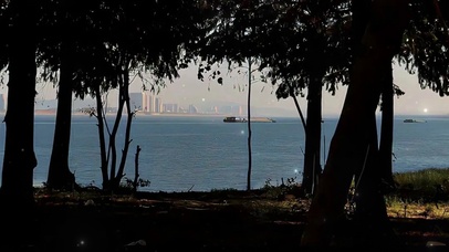 江边树林