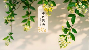 好运满满