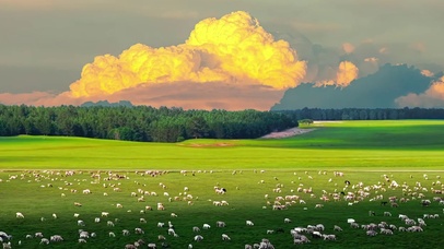 风吹草低见牛羊
