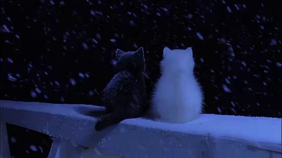 猫 4k