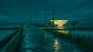 雨夜乡村静谧小路